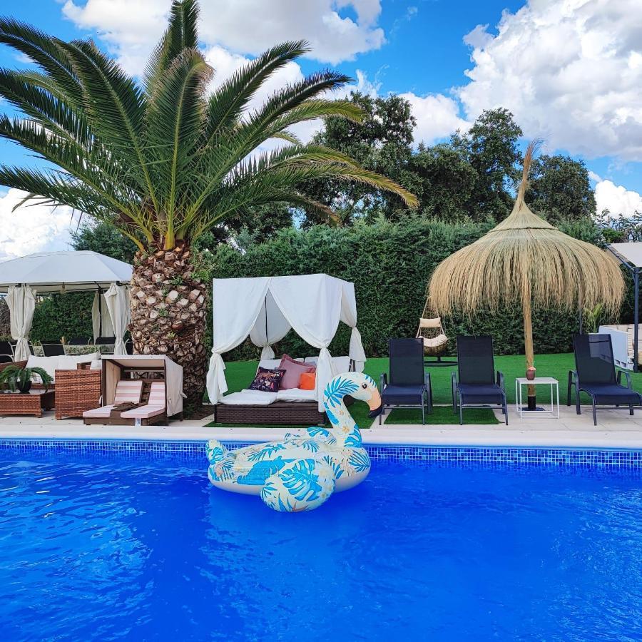 Casa Rural El Canto Del Agua มัลปาร์ติดา เดอ ปลาเซนเซีย ภายนอก รูปภาพ